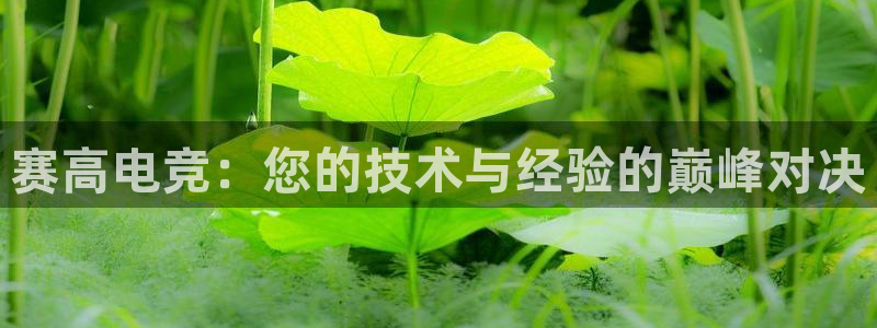 易游电竞：赛高电竞：您的技术与经验的巅峰对决