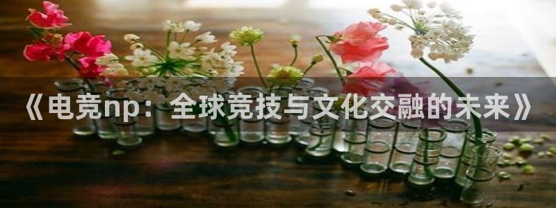 易游电竞官网：《电竞np：全球竞技与文化交融的未来》