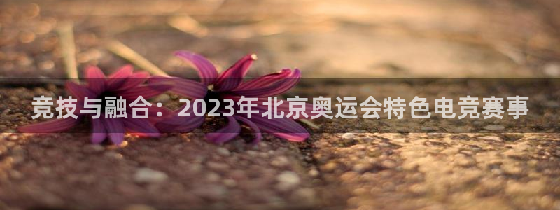 易游电竞