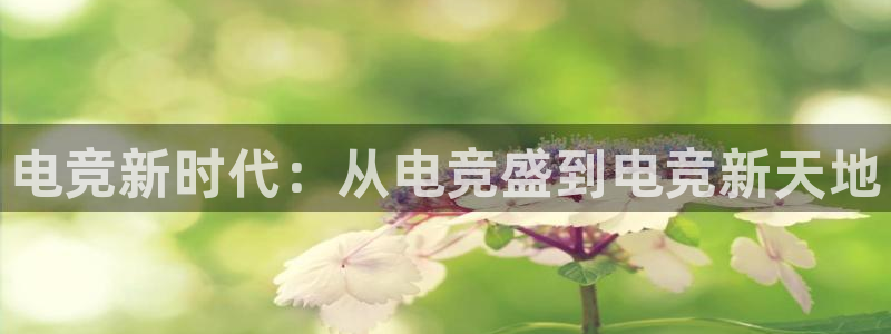 易游电竞官网：电竞新时代：从电竞盛到电竞新天地