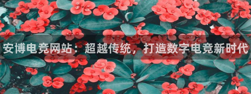 易游电竞：安博电竞网站：超越传统，打造数字电竞新时代