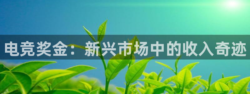 易游电竞官网：电竞奖金：新兴市场中的收入奇迹