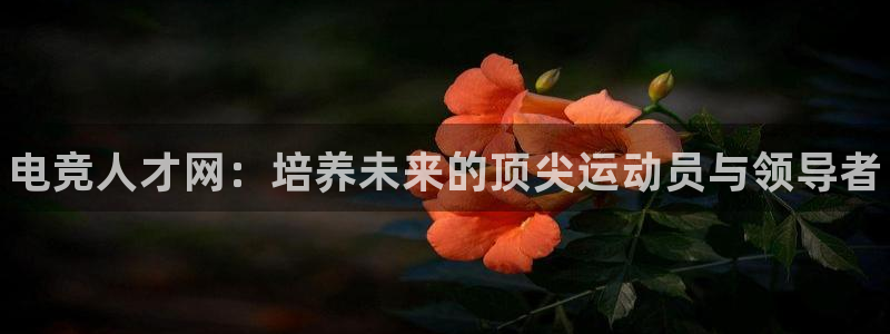 易游电竞：电竞人才网：培养未来的顶尖运动员与领导者