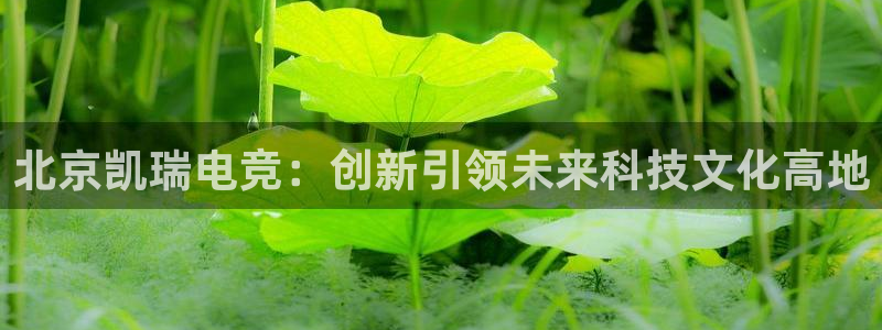易游电竞官网：北京凯瑞电竞：创新引领未来科技文化高地
