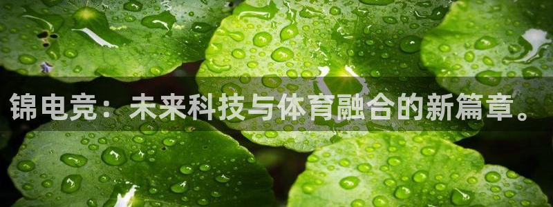 易游电竞官网
