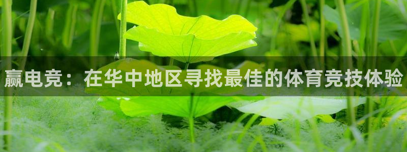 易游电竞官网：赢电竞：在华中地区寻找最佳的体育竞技体验