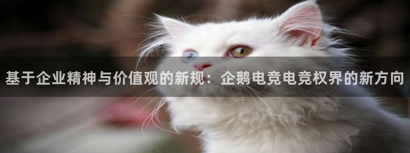 易游电竞官网：基于企业精神与价值观的新规：企鹅电竞电竞权界的新方向