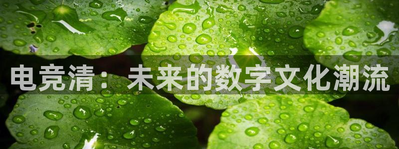 易游电竞：电竞清：未来的数字文化潮流