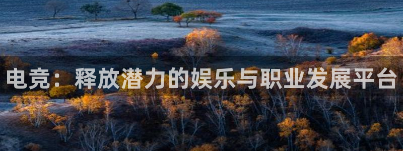 易游电竞：电竞：释放潜力的娱乐与职业发展平台