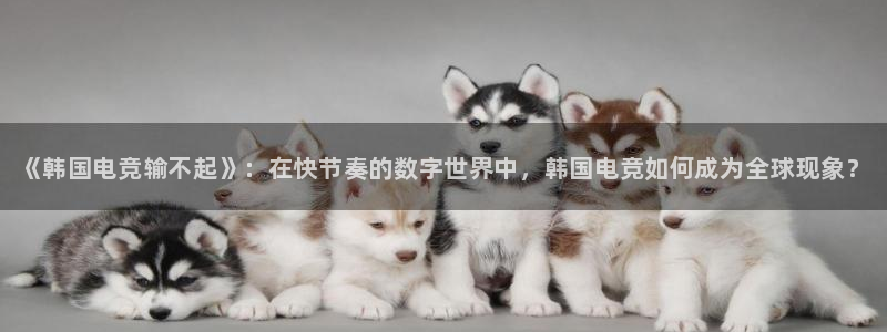易游电竞官网：《韩国电竞输不起》：在快节奏的数字世界中，韩国电竞如何成为全球现象？