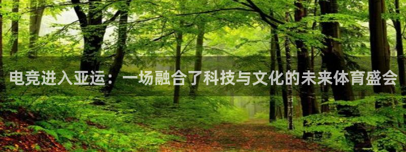 易游电竞官网：电竞进入亚运：一场融合了科技与文化的未来体育盛会
