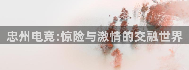 易游电竞：忠州电竞:惊险与激情的交融世界